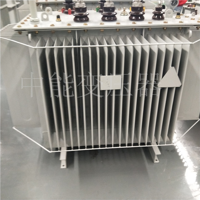 铜仁S20-800KVA变压器