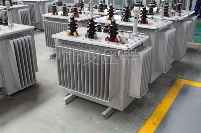 铜仁S22-100KVA/10KV/0.4KV变压器